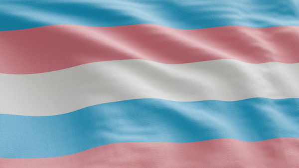 What Percentage of the Population is Transgender?