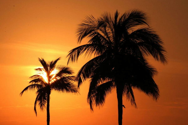 Safest Cities in Florida